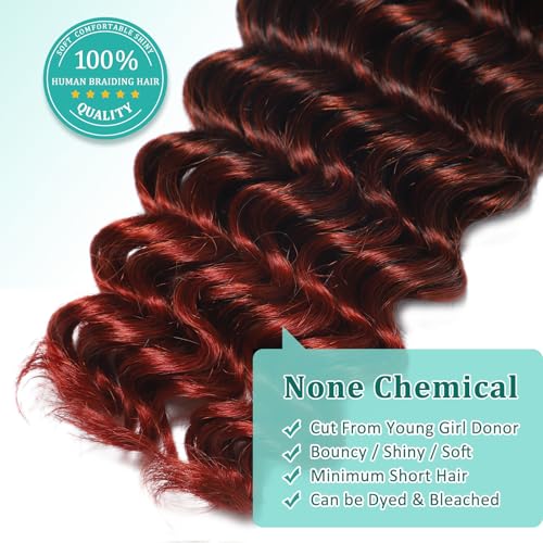 Ombre Human Braiding Hair for Boho Braids 20 Inch 120g Deep Wave Bulk Boho Human Hair for Braiding Curly Knotless Bohemian Braids 12A 100% Brazilian Virgin No Weft Extensions 3 Bundles/Pack T1B/350