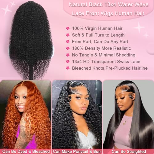 Water Wave HD Lace Front Wigs Human Hair 10A Curly Human Hair 13x4 Transparent Lace Frontal Wigs Pre Plucked Wet And Wavy Wigs Human Hair for Women 180% Density (20Inch, Natural Black)