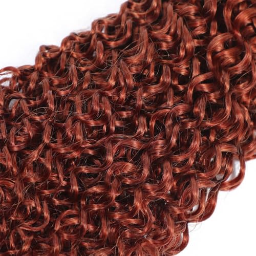 Reddish Brown Kinky Curly Bundles Human Hair Auburn Bundles 20 22 24 Inch Double Weft Color 33 Human Hair Weave Extensions Copper Brown Curly Bundle