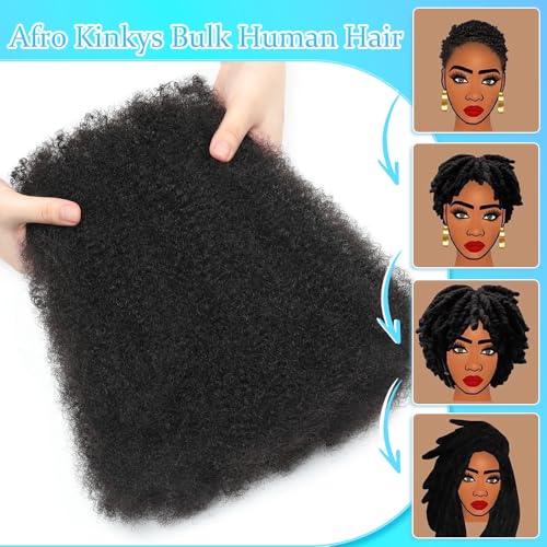 Afro Kinkys Bulk Human Hair 14 Inch Afro Kinky-Curly Human Hair Bulk for Twist Dreadlock Extensions Locs Repair Soft 4C Curly for Braids 6 Bundles 90 Gram Burgundy#