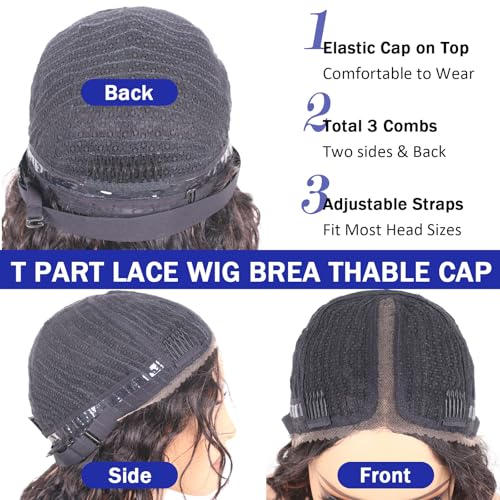Ombre Deep Wave Lace Front Wigs Wear and Go Glueless Wigs Human Hair Pre Plucked Pre Cut Wet and Wavy Lace Front Wigs 180% Density T Part Honey Blonde and Brown Mixed Wig(FS4/27,16inch)