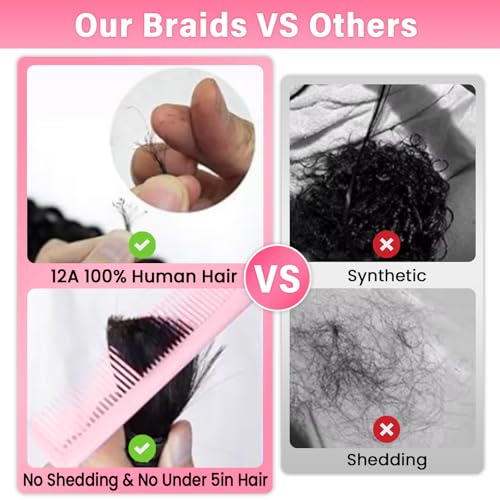 WOWANGEL Human Braiding Hair For Boho Braids 100g,100% Unprocessed Brazilian Virgin Hair, 12A Deep Wave Knotless Bohemian Bundles, Curly Hair Extensions,2 Bundles,Natural Black(1B),24 Inch
