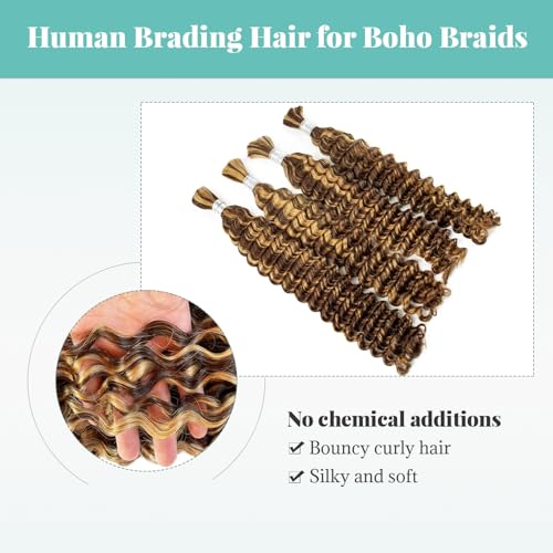 30 Inch Highlight Honey Blonde Human Braiding Hair for Boho Braids Deep Curly Bulk Human Hair for Braiding No Weft 2 Bundles 100G Water Wave Wet And Wavy Micro Braiding Extensions