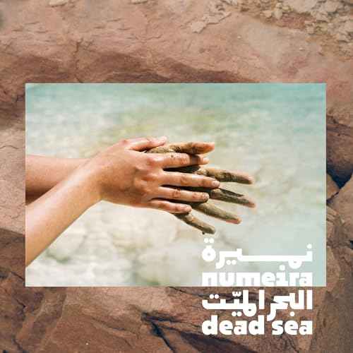 Dead Sea Mud Powder 100% Pure Cosmetic Clay Powder Rich in Minerals - Gentle Face Exfoliator Powder for Deep Cleansing, Body Scrub, or Clay Mud Mask - Pore Cleansing & Skin Detox - 1kg