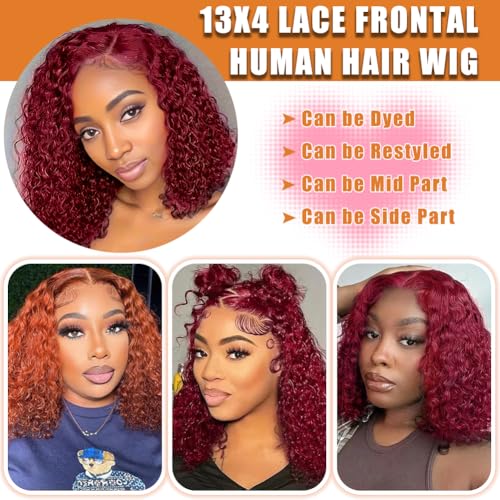DJFG Deep Wave Lace Front Wigs Human Hair Curly Wig Human Hair HD Frontal 200 Density 13x6 Lace 99j Burgundy Red 14 Inch