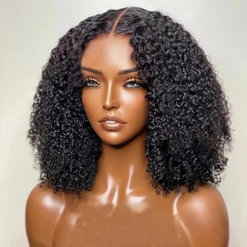 larima Glueless Wigs Human Hair Pre Plucked Pre Cut 6X5 HD Lace Short Curly Bob Wig Pre Bleach Knots Wear And Go Glueless Wig 200% Density Curly Human Hair Wig 100% Unprocessed Virgin Hair 14inch