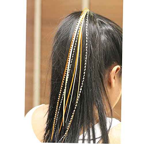 Feather Hair Extension ? Grizzly and Solid Colored Feathers, All Individual Feathers, Ranging From 8 to 11 Inches in Length, With a Total of 20 Real Feathers, Includes Beads and Loop Tool Kit
