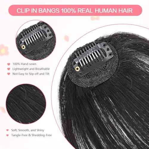 Clip in Bangs 100% Real Human Hair, Wispy Bangs Hair Clip, Fake Bang Fringe with Temples Hairpieces for Women Daily Wear (Natural Black, Wispy Bangs)
