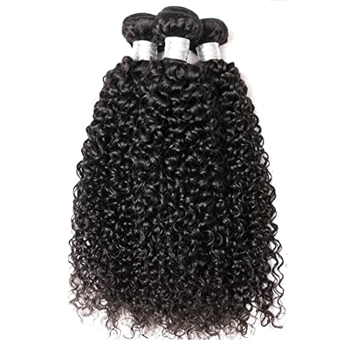 Jerry Curly Wave 5Bundles(50g/bundle) with 4x4 Lace Closure Brazilian Human Hair Bundles with Free Part Closure Kinky Curly Human Hair Bundles with Lace Closure(14/14/14/14/14+14"Closure)