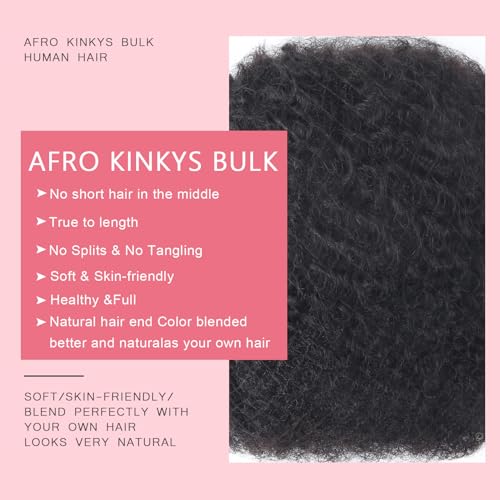Afro Kinkys Bulk Human Hair for Dreadlocks Kinky Curly for Loc Extensions 100% Real Human Hair Afro Kinky-Curly Human Braiding Bulk Hair for Twist & Repair Locs 4 Packs 200 Gram 12 Inch Black