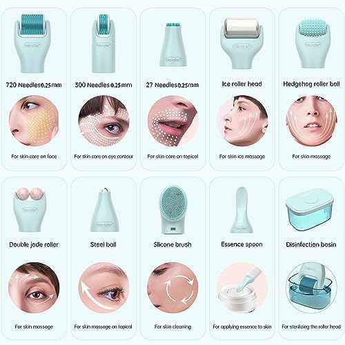 10 in 1 Derma Roller Kit, 0.25mm Microneedling Roller Microneedle Derma Roller with, Facial Beauty Roller Skin Care Tools, 10 Replaceable Heads and Storage Case