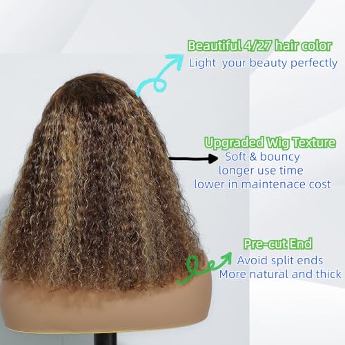 Wear and Go Glueless Wig Human Hair Pre Plucked 4/27 Highlight Water Wave Bob Wig Human Hair Wet and Wavy Wigs Human Hair 4x4 Closure Wig Human Hair for Women 12 Inch