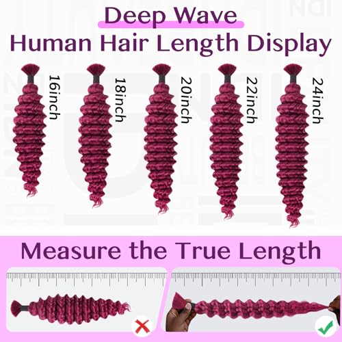 IDN BEAUTY Pre Divided Human Braiding for Boho Braids Hair Extensions, 18 Inch 100g 99J Burgundy Deep Wave Human Hair for Braiding Bohemian No Weft 12A Virgin Brazilian Wet and Wavy