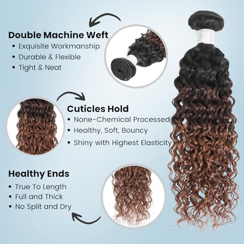 ALHER #T1B/2/30 Ombre Water Wave Human Hair Bundles 24 Inch, 12A Ombre Chestnut Brown Single Curly Bundle 12A Wet and Wavy 100% Unprocessed Virgin Remy Human Hair for Women Soft Thick Sew In Extension