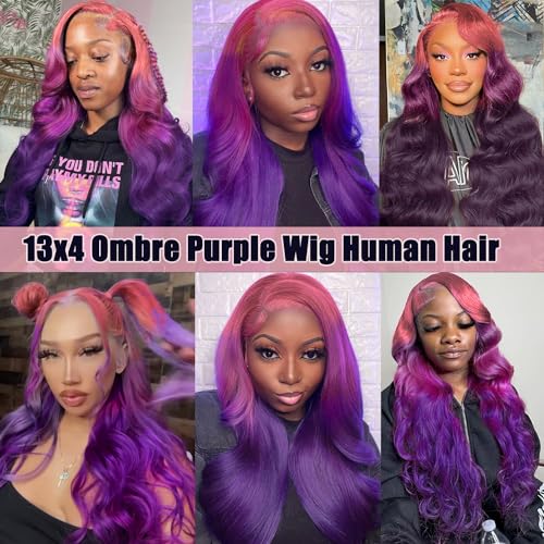 Colorful Bird Pink to Purple Lace Front Wig Human Hair Body Wave Glueless 13x4 Hd Lace Ombre Purple Lace Frontal Wig with Baby Hair Pre Plucked 180% Density 18 Inch