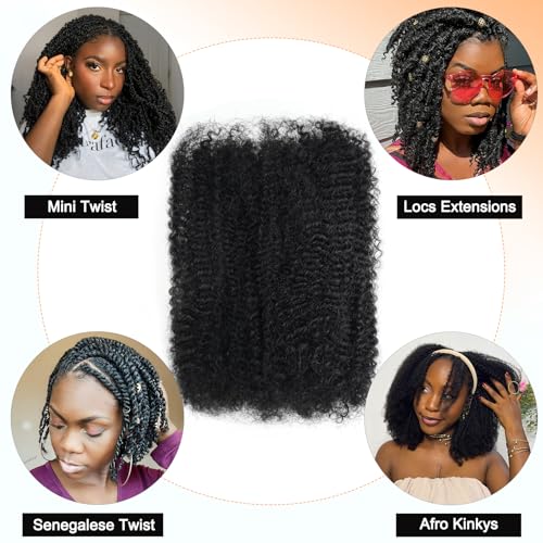Afro Kinkys Bulk Human Hair For Twist 20 Inch Kinky Curly Human Hair Natural Black For Mini Twists Micro Locs Dreadlock Extensions(20inch 2 Bundles, 1B)