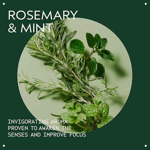 Aveda Rosemary Mint Purifying Shampoo | Clarifying Shampoo | Adds Shine | for Normal to Oily Hair, Fine to Medium Hair Types | 97% Naturally Derived*