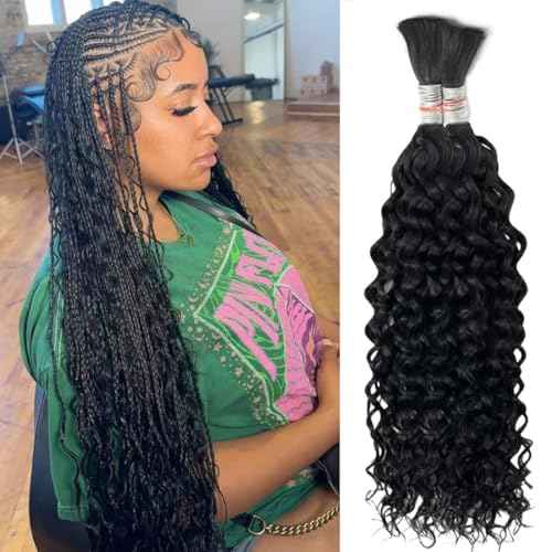 Curly Wave Bulk Human Hair For Braiding No Weft Unprocessed Brazilian Virgin Human Hair Extensions Wet And Wavy Micro Braiding Hair Human Hair Bundles For Boho Braids Natural Color(22inch 2pack/100g)