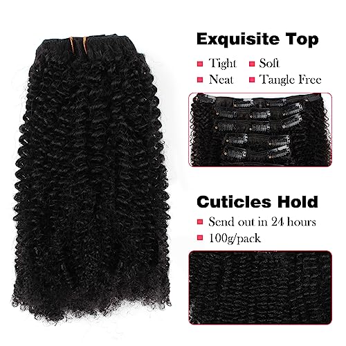 Sassina 4B 4C Human Hair Clip in Extensions Afro Coily Style Natural Color 4B 4C Double Weft Clip in Hair for African American Black Women Bantu Knotted or Twisted Out 4AC 18 Inch