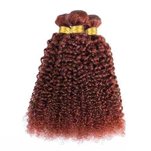 Reddish Brown Human Hair Bundles Curly Wave Color #33 Copper Red Brown Wet and Wavy Unprocessed Native Virgin Raw Trippy Hair Extensions 3 Bundles 16 18 20 Inch Quick Weave Double Weft for Black Woman