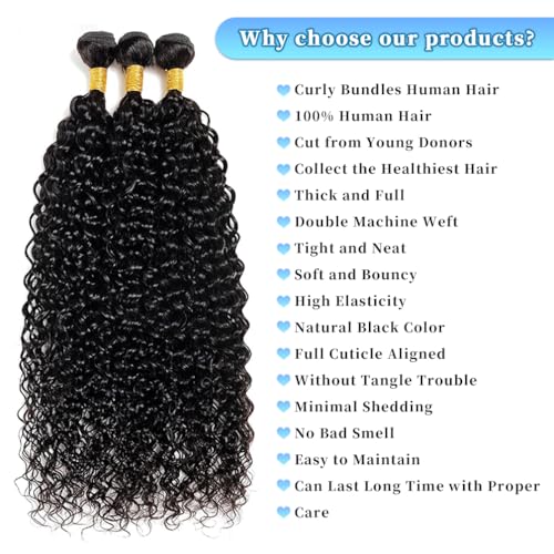 Water Wave Human Hair Bundles 20 22 24 Inch 12A Burmese Deerp Curly Bundles Human Hair 100% Unprocessed Wet and Wavy 3PC Bundles Human Hair Extensions Natural Black