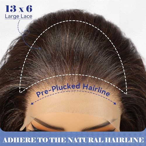 HAIRCUBE 13x6 HD Synthetic Lace Front Wig, 24 Inch Brown Long Curly Layered Wigs, Natural Density Hairline Glueless Wigs for Women Daily Use