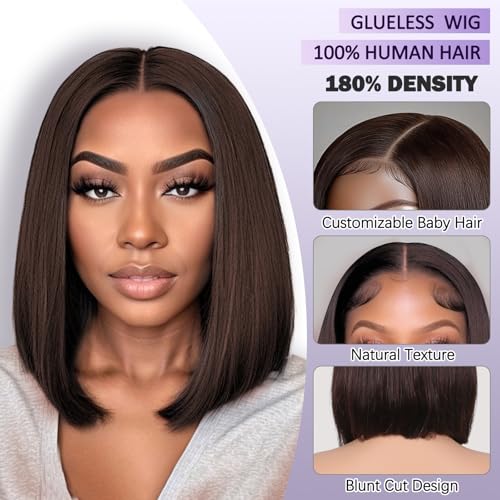 Short Straight Wigs Human Hair,13X2 HD Lace Frontal Wigs 12A 100% Brazilian Remy Human Hair Wig for Women, Natural Color 12 Inch