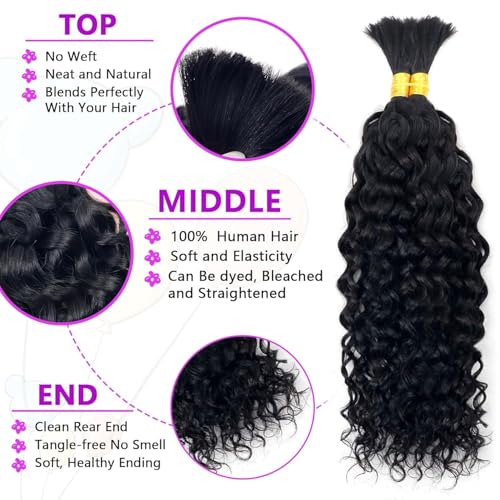 Forevermore Water Wave Bulk Human Hair No Weft boho Knotless Braids Human Hair 24 Inch Remy Human Hair For Braiding 2 Bundles Braids Per Pack 100g Micro Braiding Human Hair Wet and Wave Natural Color