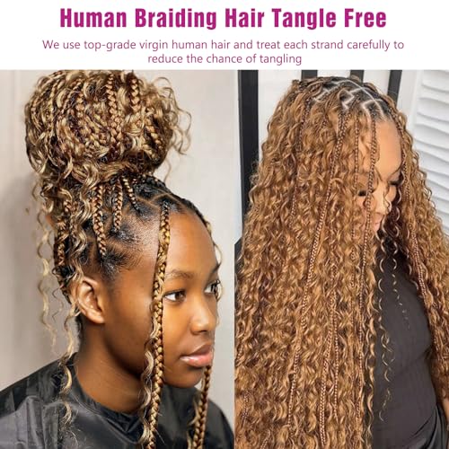 Honey Human Hair Deep Wave Bulk for Braiding - 27# Color No Weft Curly Extensions for Boho Braids, Wet and Wavy (22 Inch, #27, 100g)