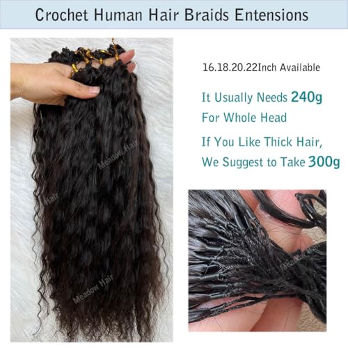 Knotless Crochet Human Hair Braids Extensions Pre Separated Wet and Wavy Brazilian Virgin Human Hair Braiding Bundles With Threading for Black Women Micro Link Meadow Hair 16inch 60g
