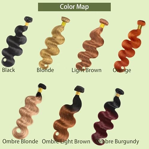 Honey Blonde Bundles Human Hiar 20 22 24 inch Ombre Straight Hair Weave for Black Women Brazilian Virgin Hair 12A Quick Weave 3 Bundles Double Weft£¨Black Ombre Honey Blonde£¬#T1B/27)