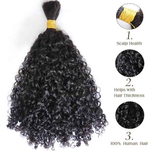 Afro Kinky Bulk Human Braiding Hair 100% Unprocessed Brazilian Virgin Human Hair Extensions Micro Kinky Curly Braids Hair Braids Double Drown Full End Bulk Hair 14 Inch 100g (Pack of 1)