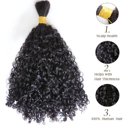 Afro Kinky Bulk Human Hair Extensions 100% Unprocessed Brazilian Virgin Micro Kinky Curly Braids Hair Braids Double Drawn Full End Bulk Hair 20 Inch 100g - Black