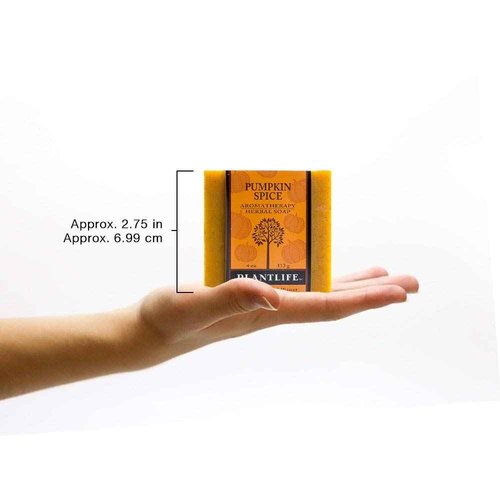 Plantlife Pumpkin Spice 3-pack Bar Soap - Moisturizing and Soothing Soap for Your Skin - Hand Crafted Using Plant-Based Ingredients - Made in California 4 oz Bar