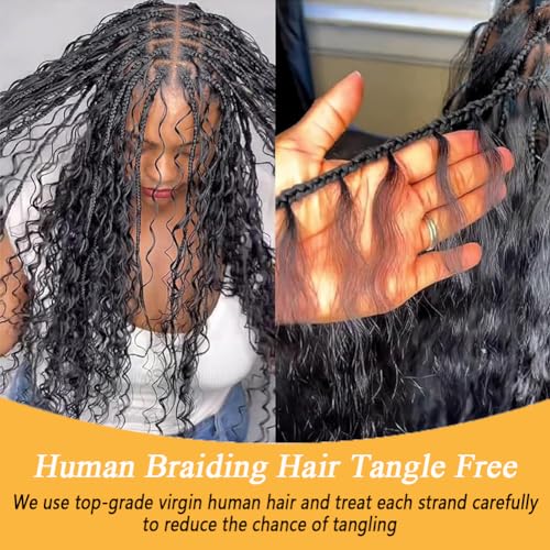 Human Braiding Hair for Boho Knotless Braids Bulk Curly Bundles Human Hair for Micro Braiding Wet and Wavy Water Wave No Weft Human Hair Extension for Box Boho Braids 100g with 2 Bundles Natural Color