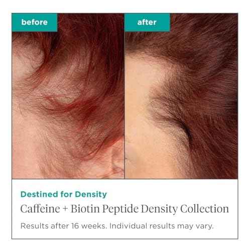 Briogeo Destined For Density Caffeine + Biotin Peptide Density Shampoo and Conditioner Set, Increases Hair Thickness and Volume for Fine or Thinning Hair, Vegan, Cruelty-Free, 2 x 8 fl oz