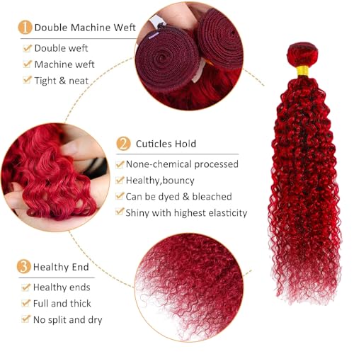 Red Bundles Human Hair GveoXvo Burgundy Kinky Curly Bundles 18 20 22 Inch Peruvian Virgin Soft Bright Red Bundle Hair Extensions
