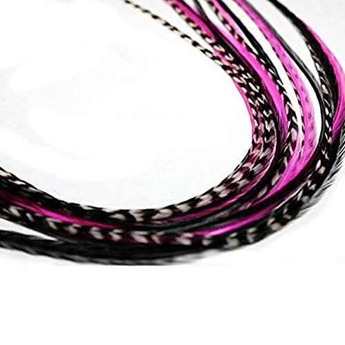 Feather Hair Extension ? Hot Pink, Black, and Grizzly Feathers, All Bonded Together at the Tip, Ranging From 6 to 11 Inches in Length, With a Total of 5 Feathers