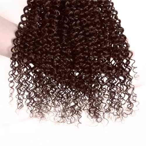 Condescension Brazilian Human Hair Bundles 10 12 14 Inch Jerry Curly 3 Bundles Human Hair 100% Unprocessed Remy Brazilian Virgin Weave Hair Chocolate Brown 4 for Women