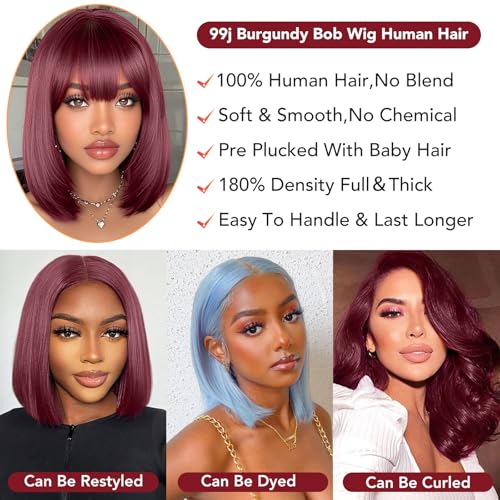 99j Burgundy Bob Wig Human Hair 13x4 HD Transparent Lace Front Wigs Human Hair 180% Density Short Bob Glueless Straight Wigs Human Hair for Women 16 Inch