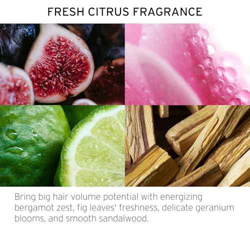 50 pcs Travel Size Mouthwash Bulk, 80ml/2.7fl oz, Mini Fresh Mint Portable Mouthwash Individual Bottles for Travel Toiletry Kits