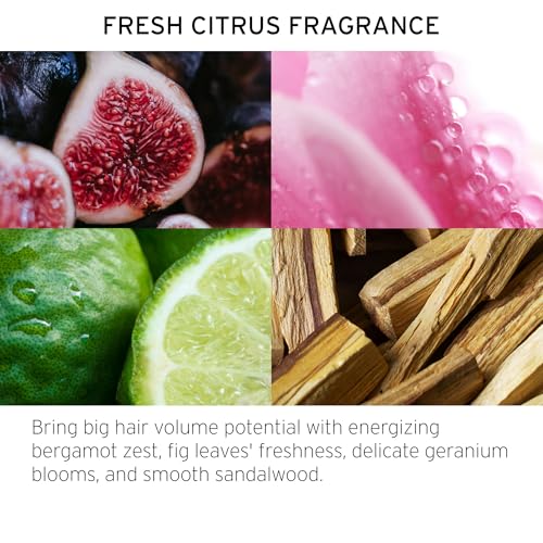 FEKKAI Brilliant Gloss Travel Bundle - Full Blown Volume Shampoo (2 oz) and Conditioner (2 oz), Brilliant Gloss Glass Hair Anti-Frizz Oil Serum (3.4 oz) + Full Blown Volume Texturizer (1.7 oz)