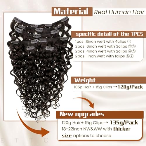 Hetto Curly Clip in Hair Extensions Human Hair Darkest Brown 7Pcs 120g #2 Natural Wavy Curly Hair Extension Clip ins Natural Brown Curly Extensions 16 Inch
