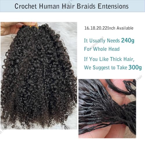 Knotless Pre Separated Crochet Human Hair Extensions Afro Kinky Curly Mongolian Virgin Braiding Hair Invisible Pre Looped Feather Braids Bundles For Black Women Walnut Hair 16inch 60g