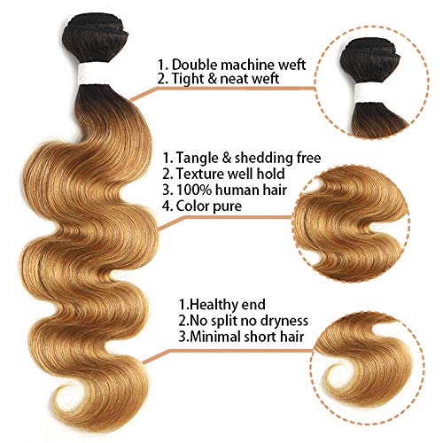 X-TRESS Ombre Blonde Bundles - 22 inch Body Wave Brazilian Hair Weave - 100% Human Hair Extensions - 27 Inch, T1B/27