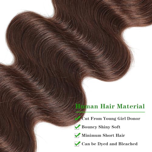 Kapelli Hair Brazilian Body Wave Bundles with Closure (12 14 16+12) 10A Light Brown Body Wave Human Hair Bundles with Lace Closure Brazilian Virgin Hair 3 Bundles with Lace Closure with Baby Hair
