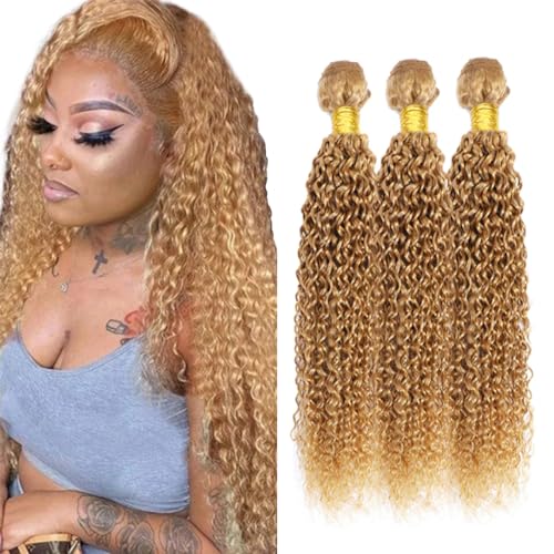 Color #27 Honey Blonde Curly Human Hair Bundles Brazilian Virgin Remy Hair Extensions Double Weft Color 27 Bundles Human Hair Honey Blonde Curly Wave 20 22 24 Inch