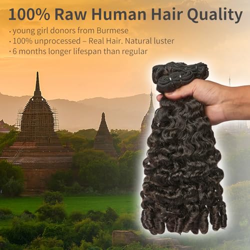 ASHINE Burmese Curly Bundles Human Hair Unprocessed Raw Burmese Curly Water Wave Human Hair Single Bundle 20 inch Natural Black