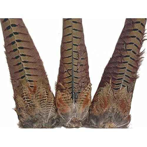 Moonlight Feather | 1 Tail - Natural Brown Complete Ringneck Pheasant Feather Tail Clump Halloween Fly Tying