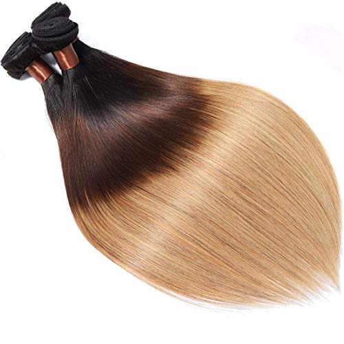 Brazilian Virgin Ombre Hair Silky Straight Hair Weave One Bundle Unprocessed Virgin Human Hair Extensions T1B/4/27 Mixed Length (28)